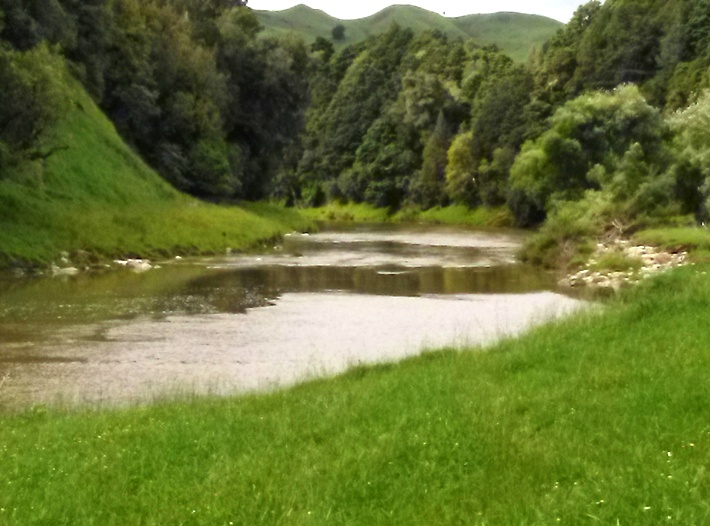 Silverfern 2018 Photos - Simply Better Tairua Stage Timing Team